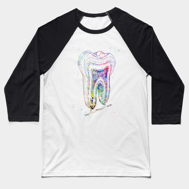 Human tooth structure Baseball T-Shirt by erzebeth